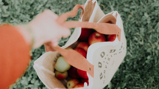 Снимка: unsplash.com