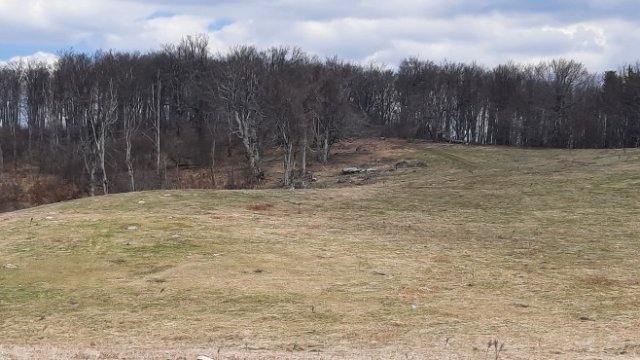 <p>
	Снимка: Investor.bg</p>
