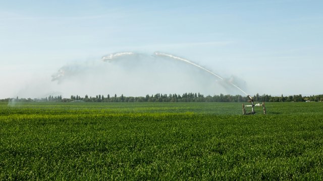 Снимка: Pexels