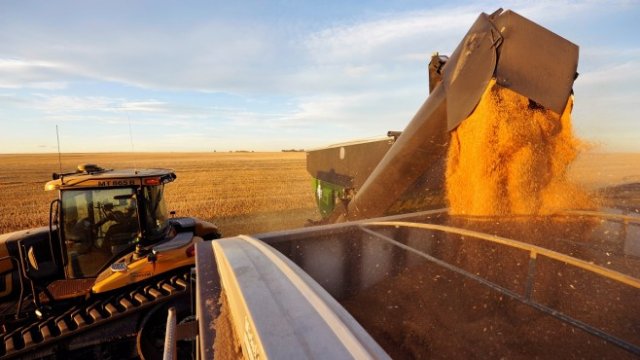 <p>
	<em>Снимка: Архив Ройтерс</em></p>
