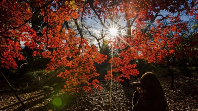 <p>
	<em>Снимка: Архив Ройтерс</em></p>
