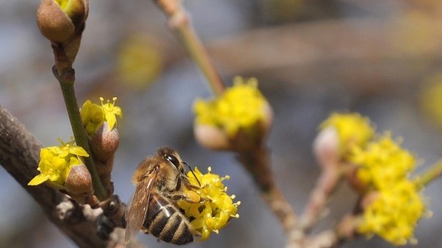 <p>
	<em>Снимка: БТА</em></p>
