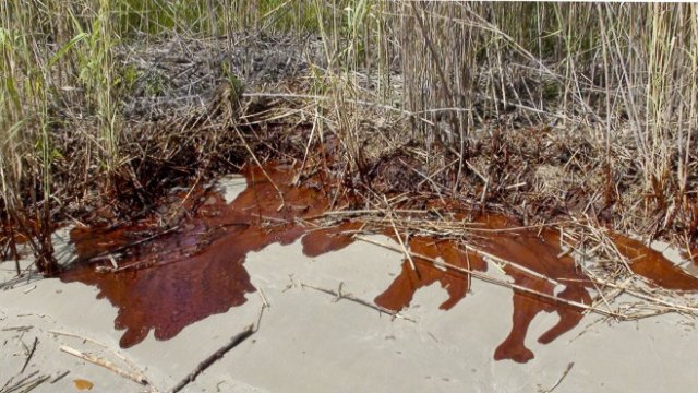 <p>
	<em>Снимка: Bloomberg L.P.</em></p>
