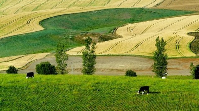 <p>
	<em>Снимка: Pixabay</em></p>
