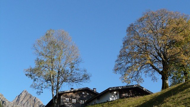 <p>
	<em>Снимка: Pixabay</em></p>
