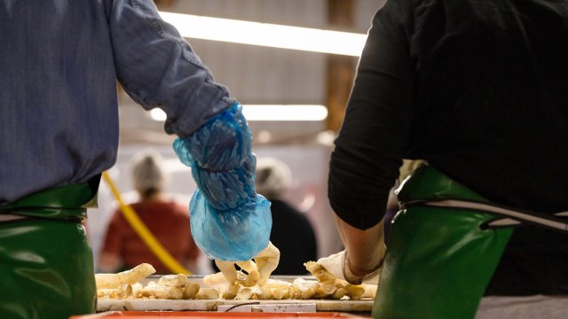 Снимка: Bloomberg L.P.