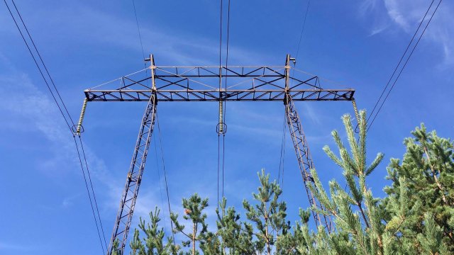 Снимка: Investor.bg