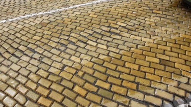 Снимка: Димитър Кьосемарлиев, Investor Media Group