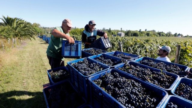 <p>
	Уругвай - &nbsp;изключение в Латинска Америка: с едно доста равноправно общество, с висок доход на глава от населението и с ниско равнище на бедност.&nbsp;<em>Снимка: Ройтерс</em></p>
