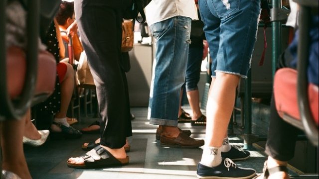 <p>
	<em>Снимка: Pixabay</em></p>
