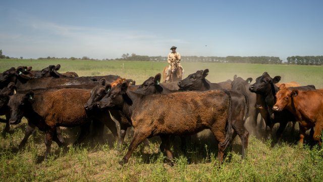 Снимка: Bloomberg LP