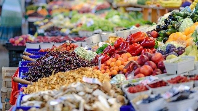 Можем да направим революция в биоземеделието, твърди експерт