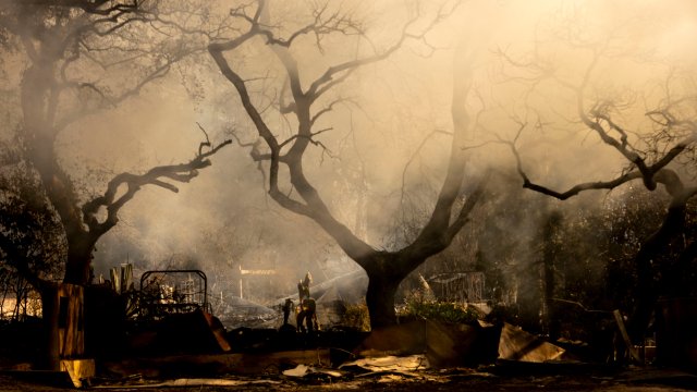 Снимка: Bloomberg