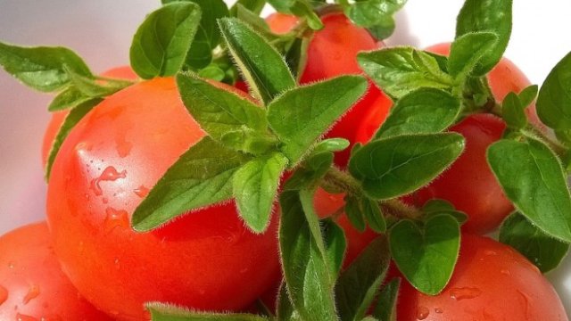 <p>
	<em>Снимка: Pixabay</em></p>
