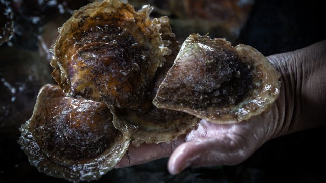 Снимка: Robertus Pudyanto/Getty Images