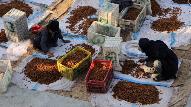 Снимка: БГНЕС/ЕРА