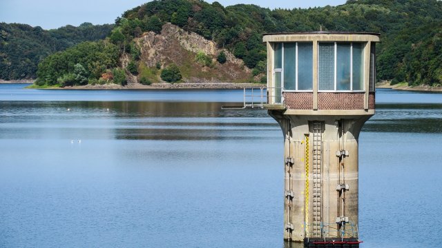 Снимка: Pixabay