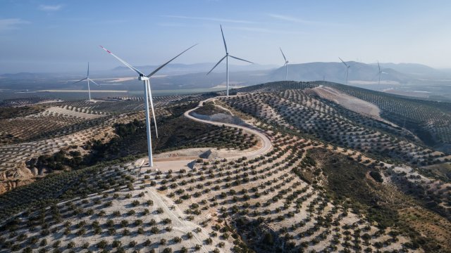 Снимка: Bloomberg L.P.