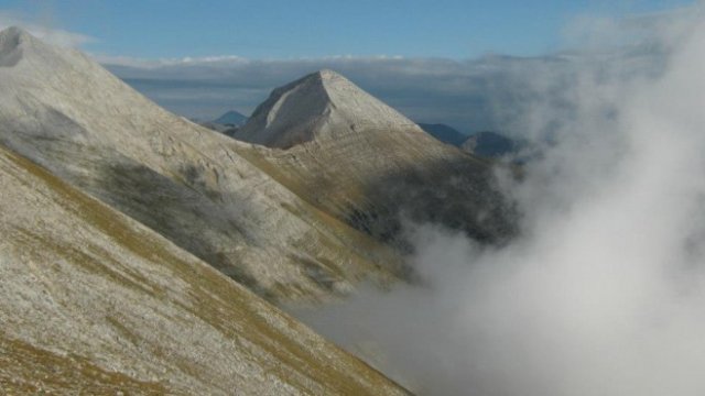 <p>
	<em>Снимка: Ралица Пейчева, Investor.bg</em></p>
