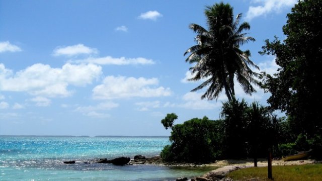 <p>
	<em>Снимка: Pixabay</em></p>
