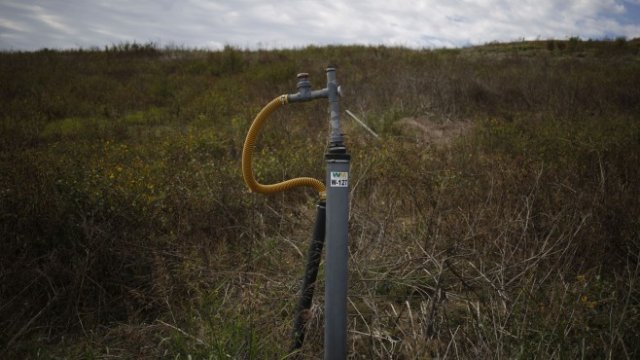 <p>
	<em>Снимка: Bloomberg L.P.</em></p>
