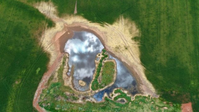 <p>
	<em>Снимка: Carla Gottgens/Bloomberg</em></p>
