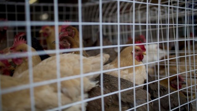 <p>
	<em>Снимка: Brent Lewin/Bloomberg</em></p>
