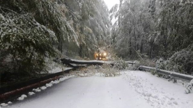 <p>
	<em>Снимка: Агенция &quot;Пътна инфраструктура&quot;</em></p>
