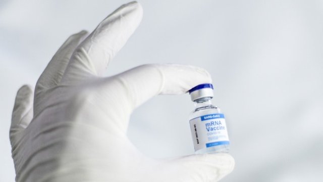 <p>
	<em>Снимка: Pixabay.com</em></p>
