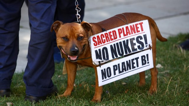 Снимка: Bloomberg