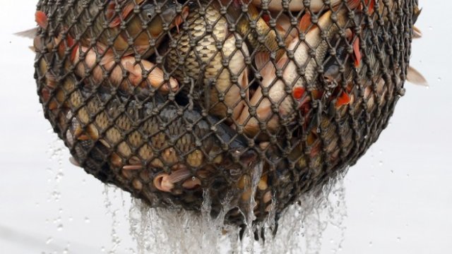 <p>
	<em>Снимка: Архив Ройтерс</em></p>
