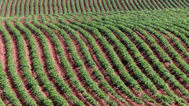 <p>
	Снимка: <em>Архив Ройтерс</em></p>
