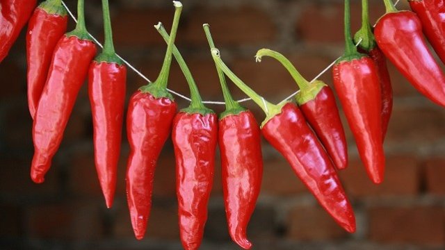 <p>
	<em>Снимка: БТА</em></p>
