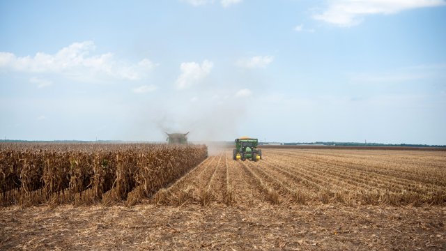 Снимка: Bloomberg LP