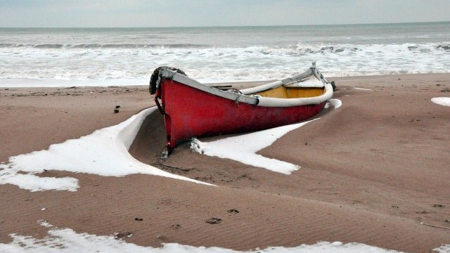 <p>
	Снимка: БТА</p>
