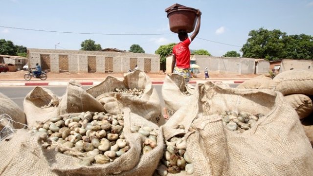 <p>
	Производство на кашу в&nbsp;Кот д'Ивоар, 2016 г. <em>Снимка: Архив Ройтерс</em></p>
