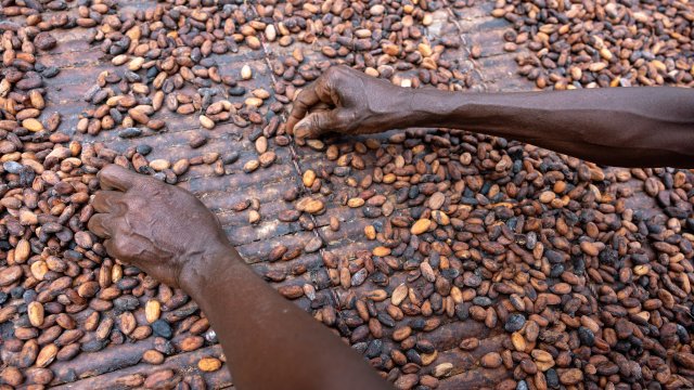 Снимка: Bloomberg L.P.