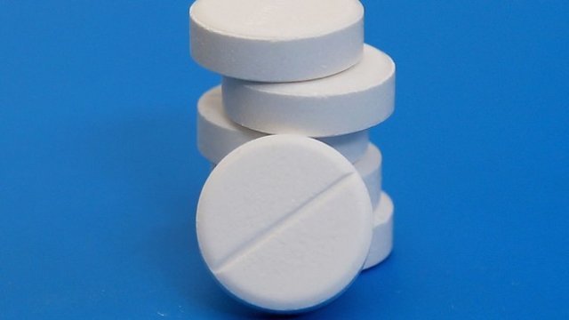 <p>
	<em>Снимка: БГНЕС</em></p>
