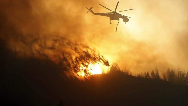 <p>
	В резултат на глобалното затопляне пожари в Южна Европа може да унищожат 8000 квадратни километра гори. <em>Снимка: архив Ройтерс</em></p>
