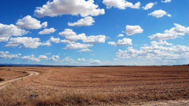 <p>
	<em>Снимка: Pixabay</em></p>
