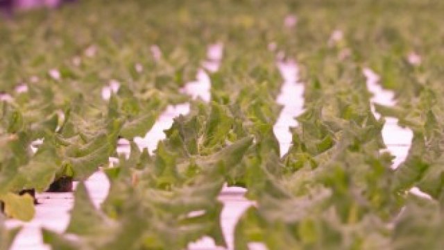 <p>
	<em>Снимка: Christinne Muschi/Bloomberg</em></p>
