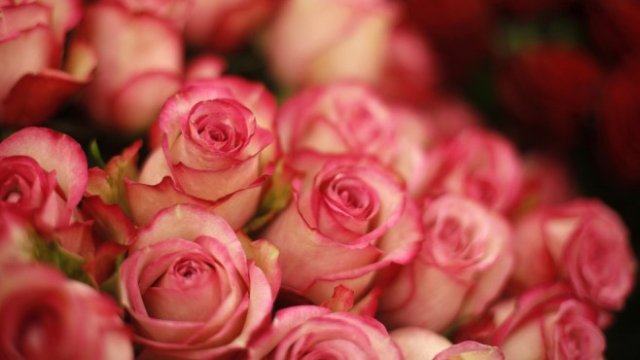 <p>
	Снимка: <em>Архив, Ройтерс</em></p>
