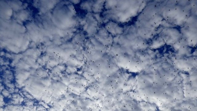 <p>
	<em>Снимка: Pixabay</em></p>
