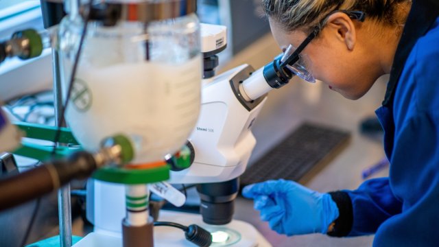 Снимка: Bloomberg