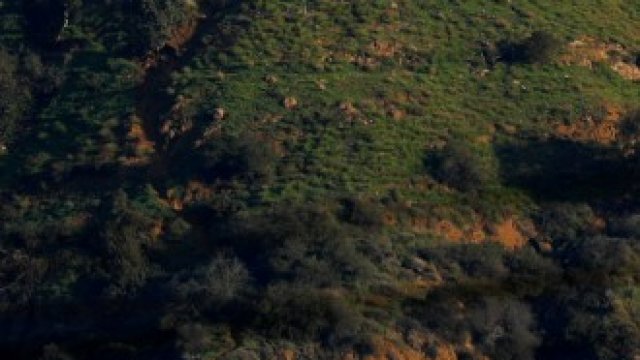 <p>
	<em>Снимка: Архив Ройтерс</em></p>
