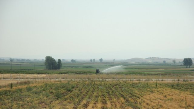 <p>
	<em>Снимка: Pixabay</em></p>
