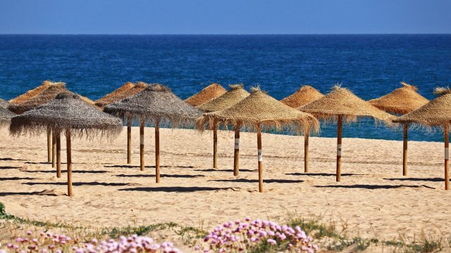 Снимка: Pixabay