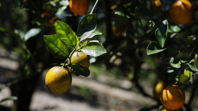 Снимка: Eva Marie Uzcategui/Bloomberg