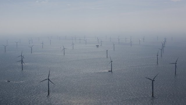 <p>
	<em>Снимка: Ройтерс</em></p>
