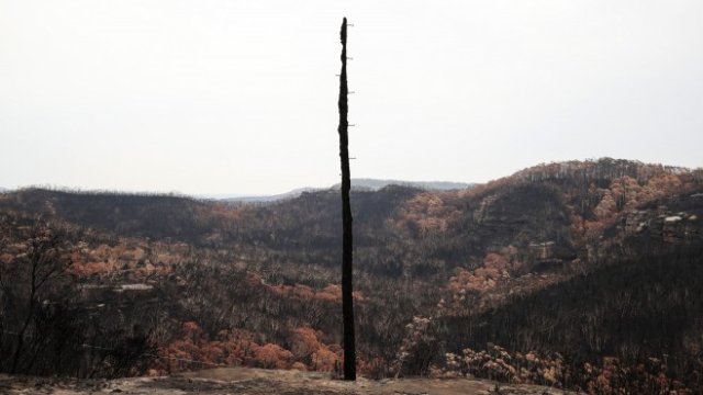 <p>
	<em>Снимка:&nbsp;Brendon Thorne/Bloomberg</em></p>
